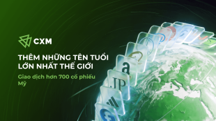 News Banner Vietnamese 